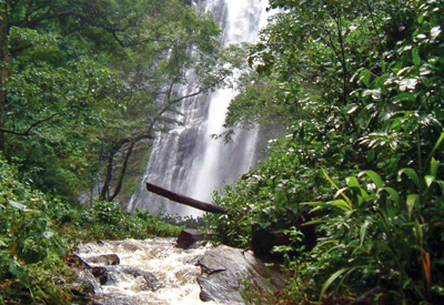 Westliches Afrika, Togo: Ashanti-Gold, Voodoo & wilde Tiere - Wasserfall im Regenwald